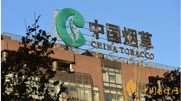 香煙漲價最新消息2020：香煙漲價真的能控?zé)焼?>
                                    <span>香煙漲價最新消息2020：香煙漲價真的能控?zé)焼?/span>
                                    <p>現(xiàn)在我國煙民的基數(shù)在不斷增大，而且有越來越多的青少年加入吸煙</p>
                                </a>
                            </li>
                                                                                </ul>
                    </div>

                </div>
            </div>
        </div>
    </div>

    
<link rel=