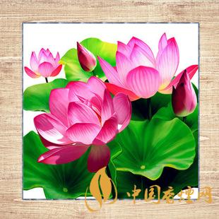 鉆石荷花煙多少錢(qián)一包 2025鉆石荷花煙價(jià)格一覽