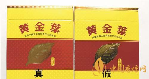 如何辨別黃金葉金滿堂真假？2020黃金葉真假辨別詳情對(duì)比