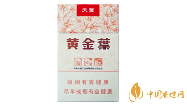 黃金葉天葉真?zhèn)卧趺幢鎰e？天葉真假如何看？