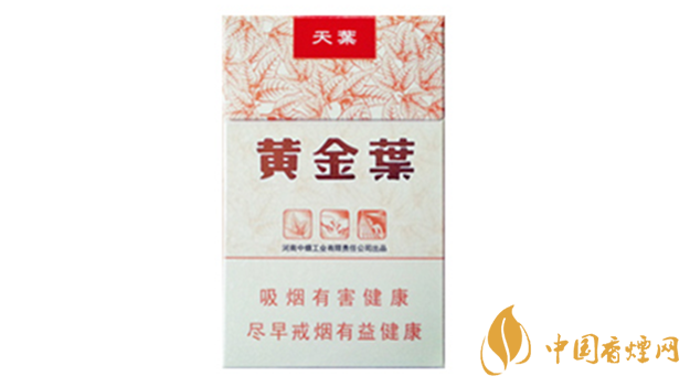 黃金葉天葉真假怎樣區(qū)分？黃金葉天葉真假識(shí)別