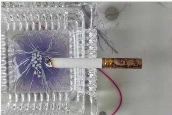 黃鶴樓漫天游，除了短貴沒別的毛病