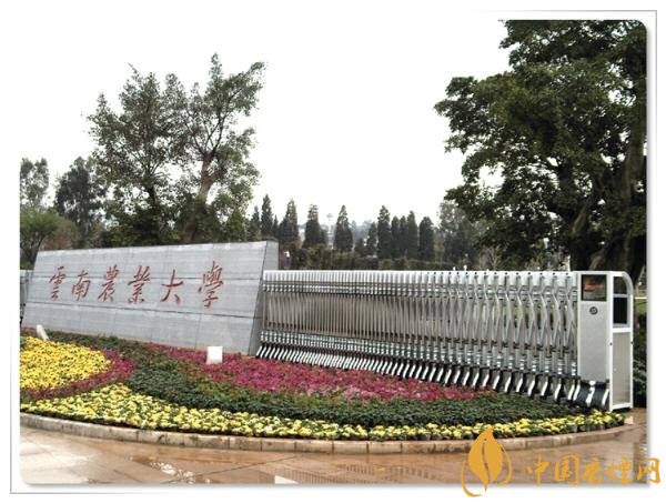 煙草專業(yè)大學(xué)排名，煙草專業(yè)就業(yè)前景好
