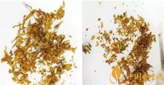 冬蟲夏草（和潤）真假鑒別，春節(jié)防止被騙