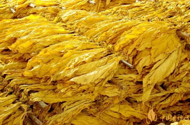 朱砂煙到底是什么煙，云煙朱砂煙有哪幾款