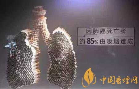 什么是煙肺 肺部變黑的癥狀和過程介紹