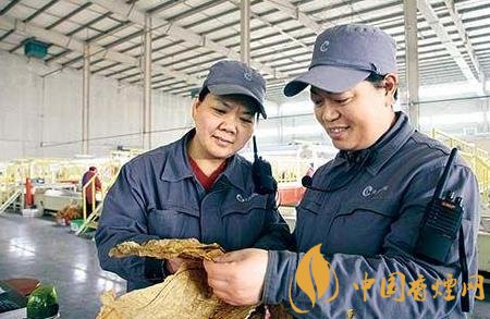 江西中煙贛州卷煙廠制絲車間狠抓創(chuàng)新促管理水平提升！